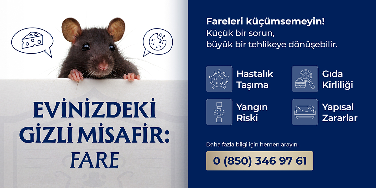 EVİNİZDEKİ GİZLİ MİSAFİR-FARE
