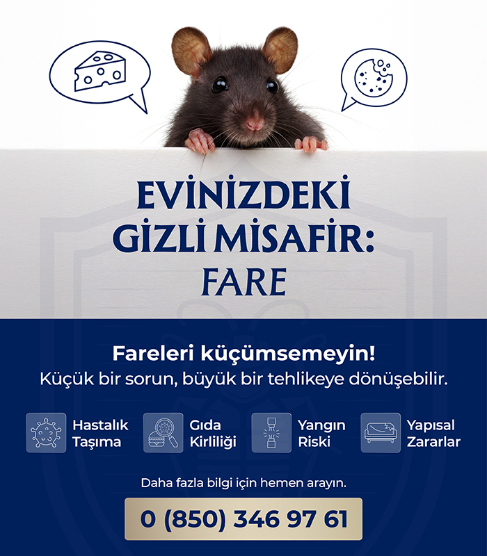 EVİNİZDEKİ GİZLİ MİSAFİR-FARE